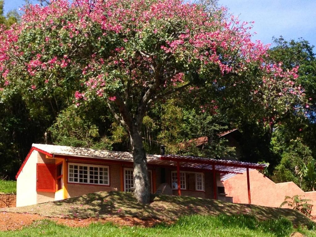 Pousada Chalés da Casa Centenária Santo Antônio do Pinhal Exterior foto